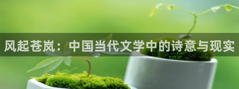 禁漫天堂漫画网专注漫画：风起苍岚：中国当代文学中的诗意与现实